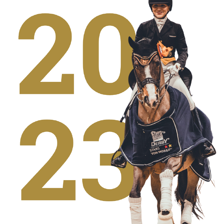 DSvM CharlottSchuermann